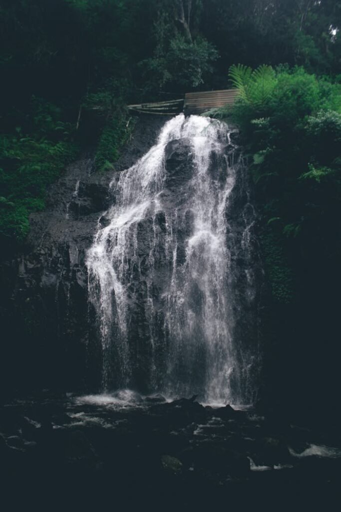 pexels photo 27572321.jpeg